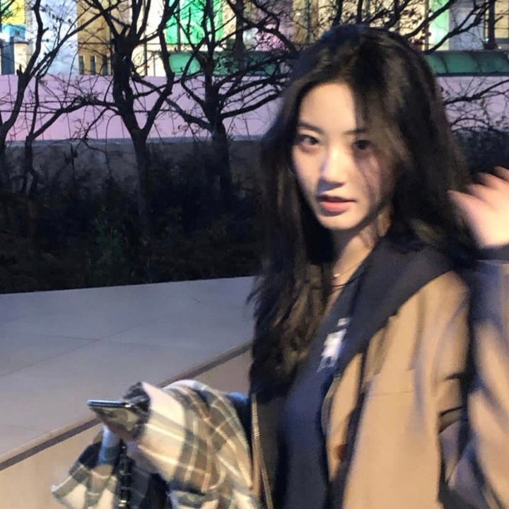 暴龙来袭